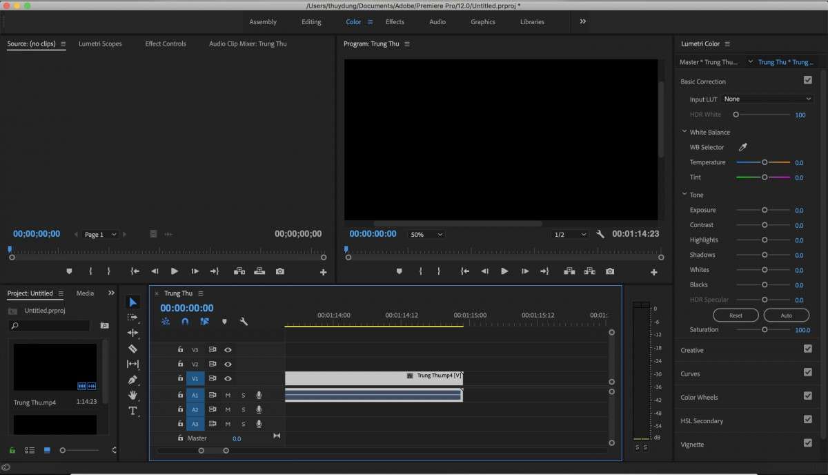 tự động chỉnh màu trong adobe premiere